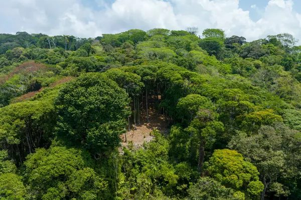 Dominical, Rica,Finca Pacifica Baru