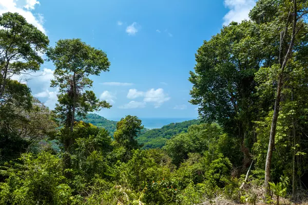 Dominical, Rica,Finca Pacifica Baru