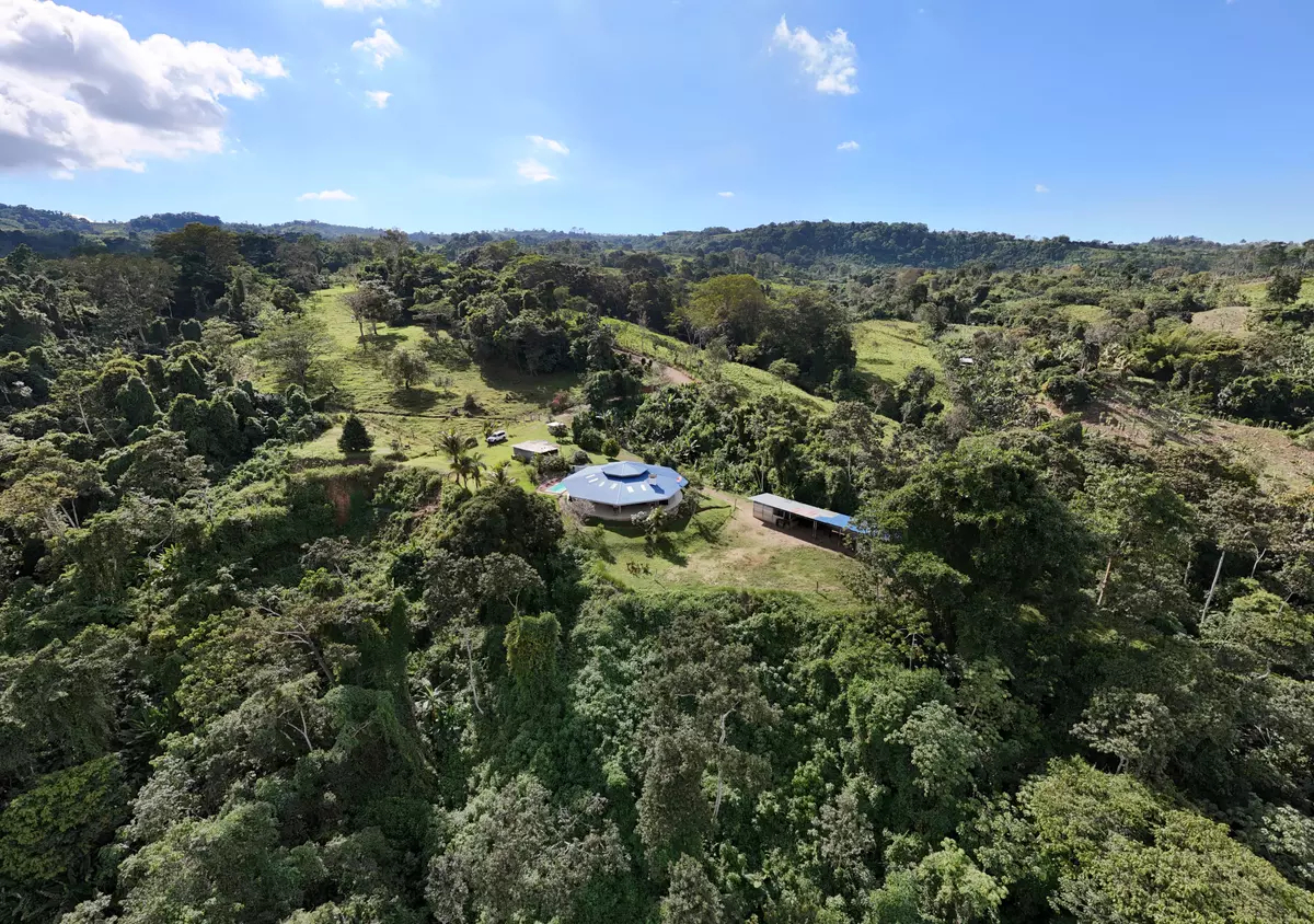 Santa Luisa, Rica,Finca Rio General