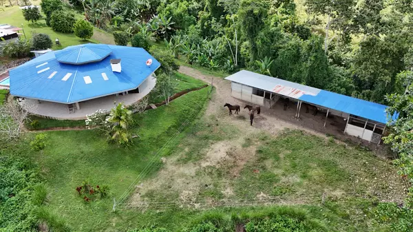 Santa Luisa, Rica,Finca Rio General