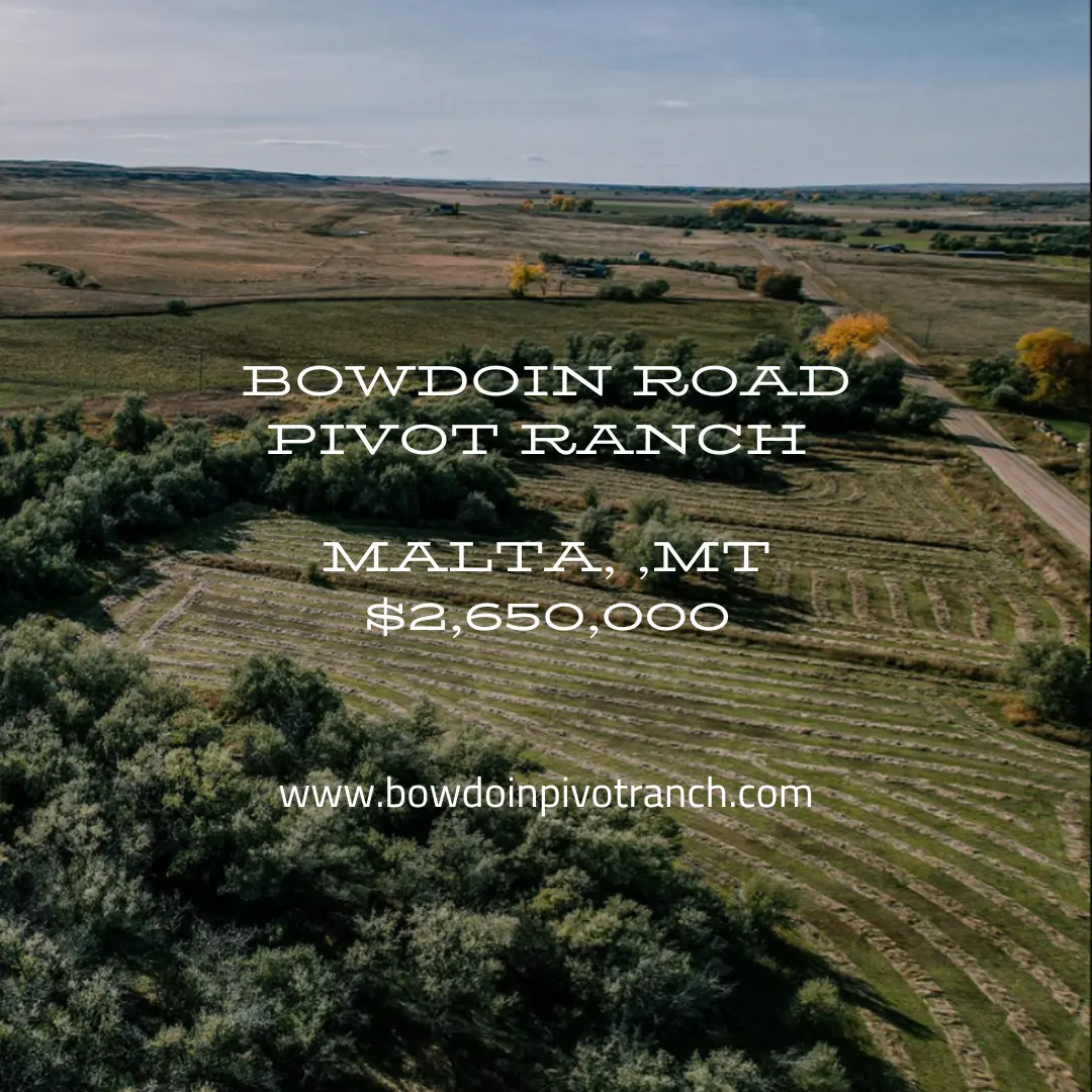 NHN Bowdoin Road, Malta, 59538