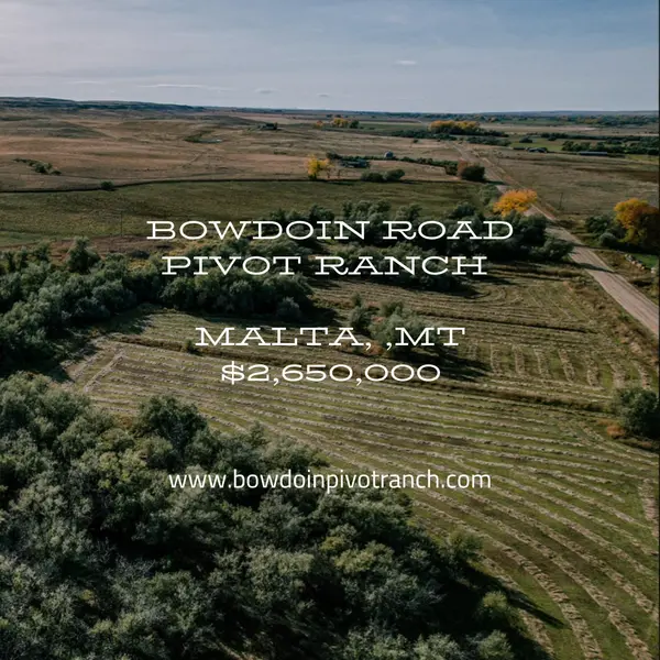 NHN Bowdoin Road, Malta, 59538