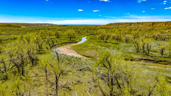 Black Ranch, Hinsdale, 59241