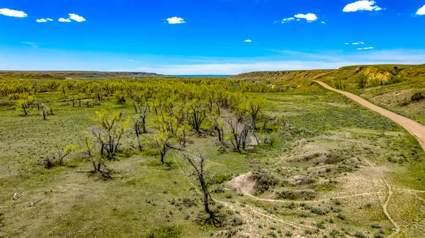 Black Ranch, Hinsdale, 59241