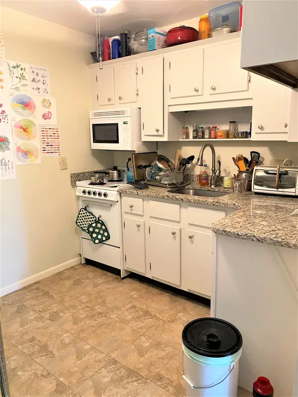 171 South St #18B, Jamaica Plain, MA 02130-3919