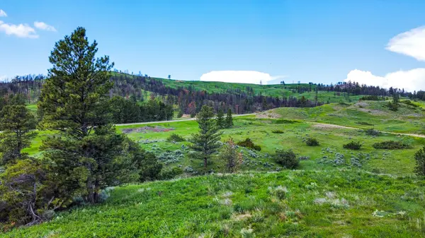 Lot 25 - Square Butte Subdivision II Landusky, Mt 59524,