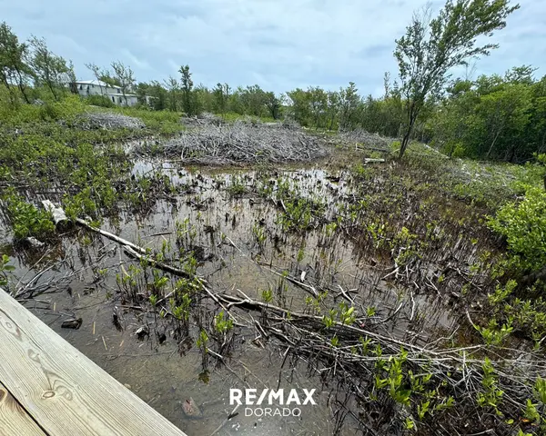 Vacant slice of Caye Caulker Paradise, Caye Caulker,