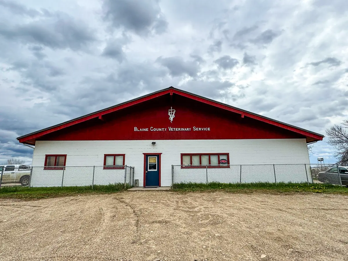 620 Stockyard Rd, Chinook, MT 59523-9303