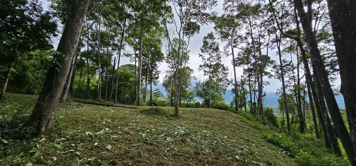 Lot High Treetop1, Platanillo, Zeledon
