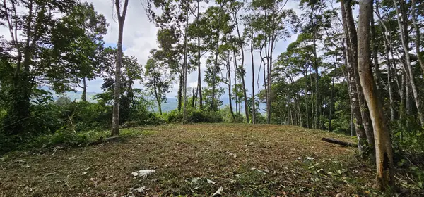 Lot High Treetop1, Platanillo, Zeledon