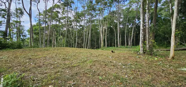 Lot High Treetop1, Platanillo, Zeledon