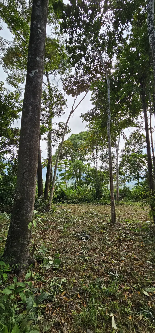 Lot High Treetop1, Platanillo, Zeledon