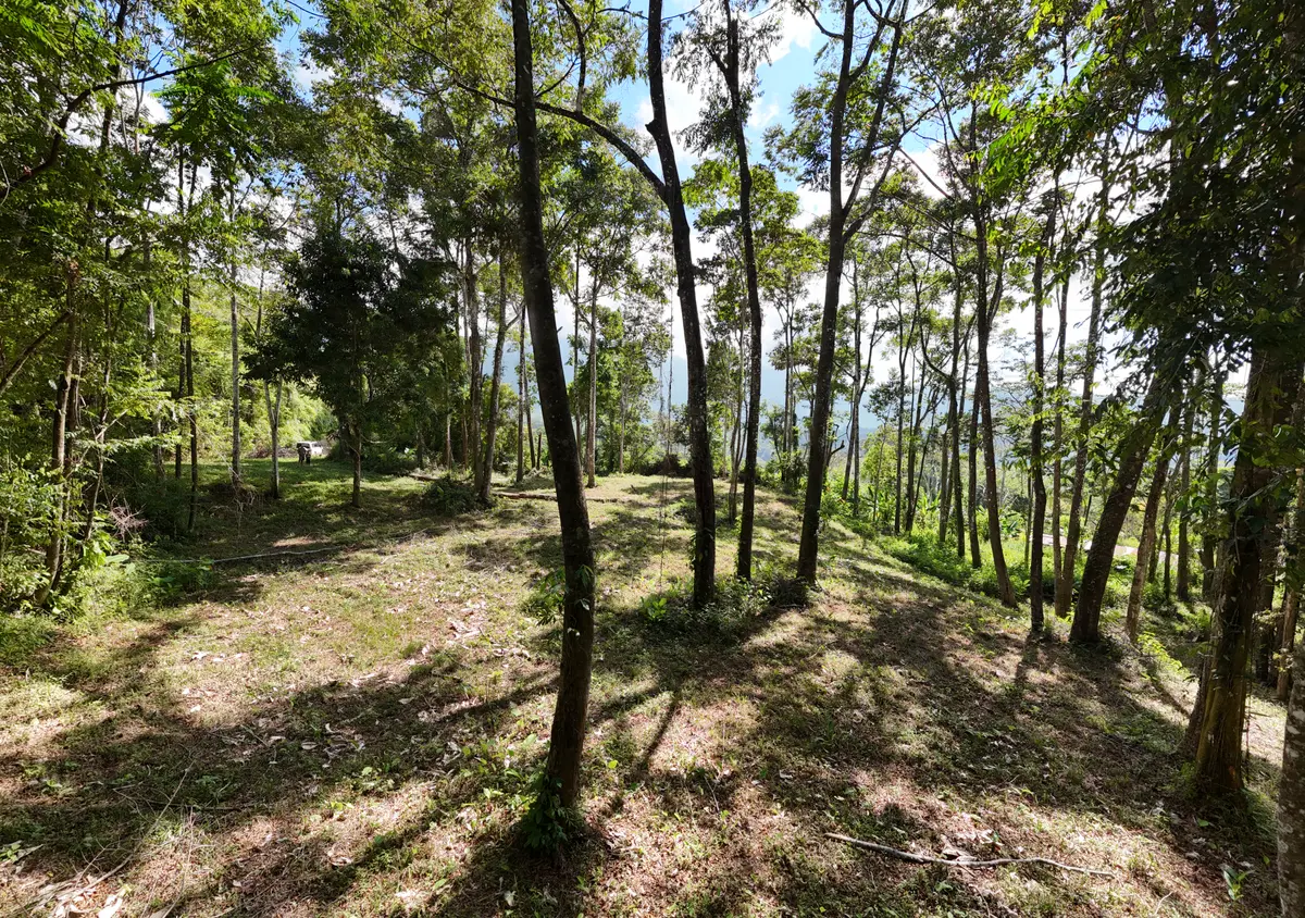 Lot Treetop2, Platanillo, Zeledon