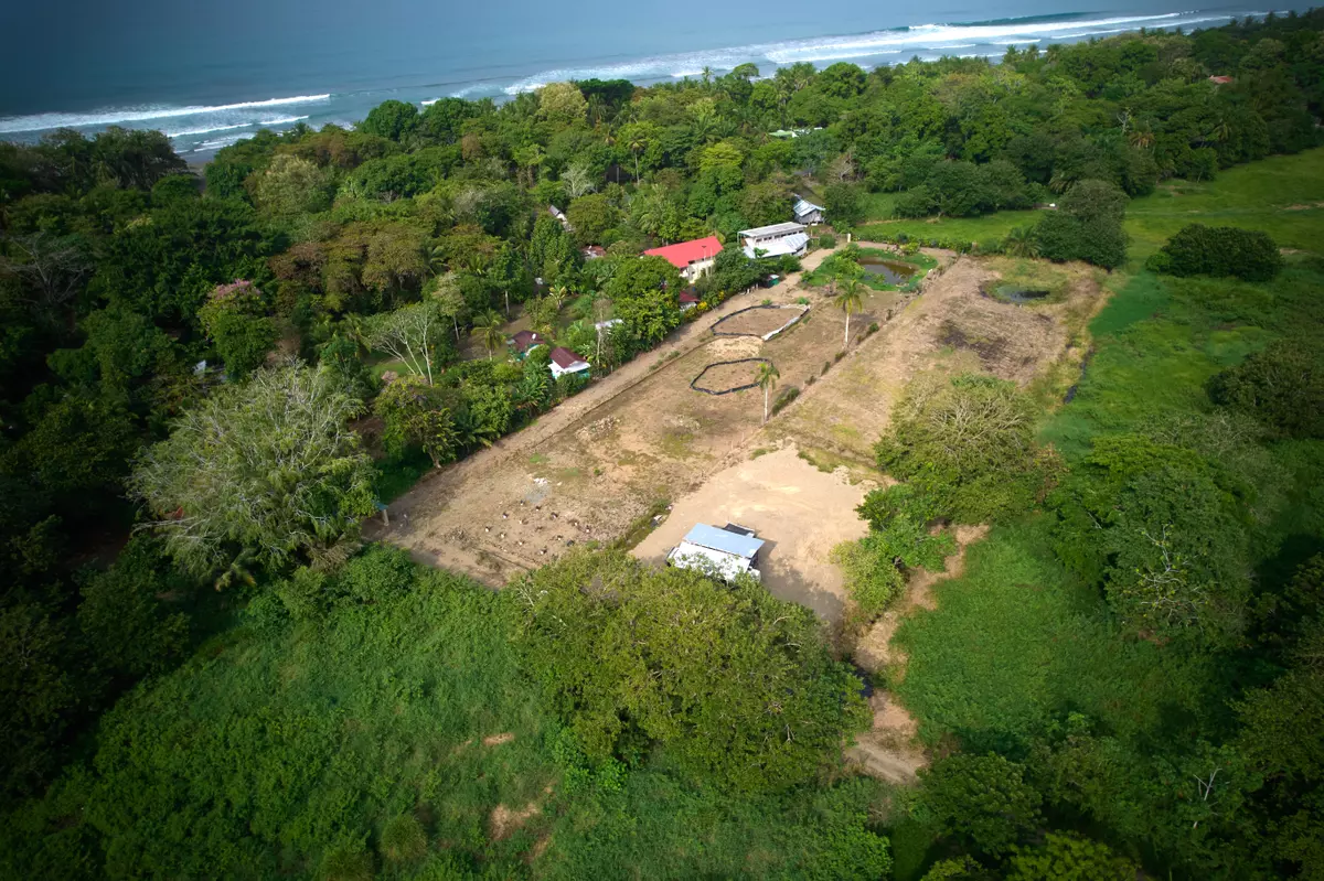 Dominical,,Lot Matapalo
