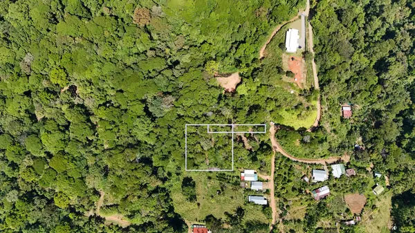 Lot Treetop2, Platanillo, Zeledon