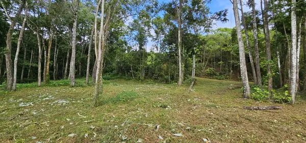 Lot Treetop2, Platanillo, Zeledon