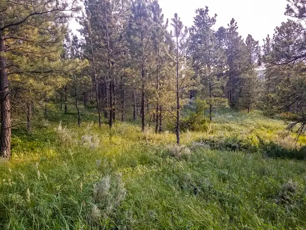Lot 21 Square Butte Subdivision, Landusky, 59546