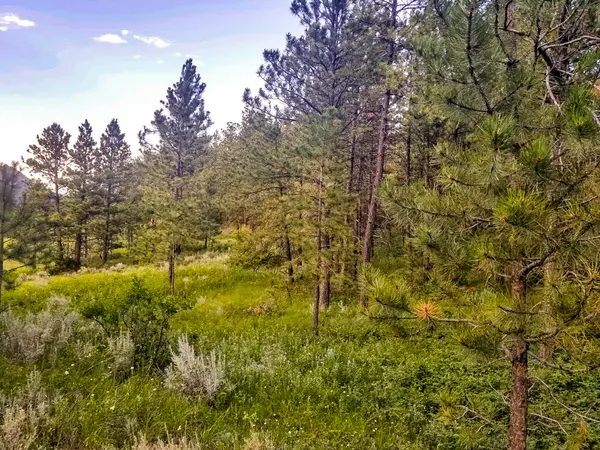 Lot 21 Square Butte Subdivision, Landusky, 59546