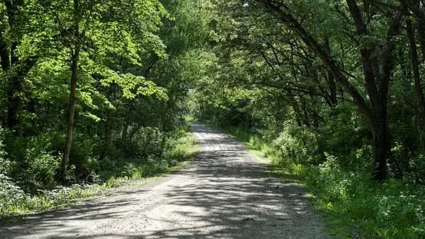 W16261 Kraemer Rd, Ettrick, WI 54627-8213