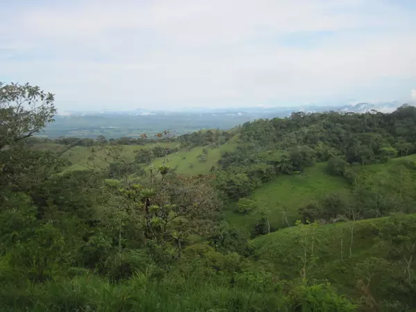 Chiriqui