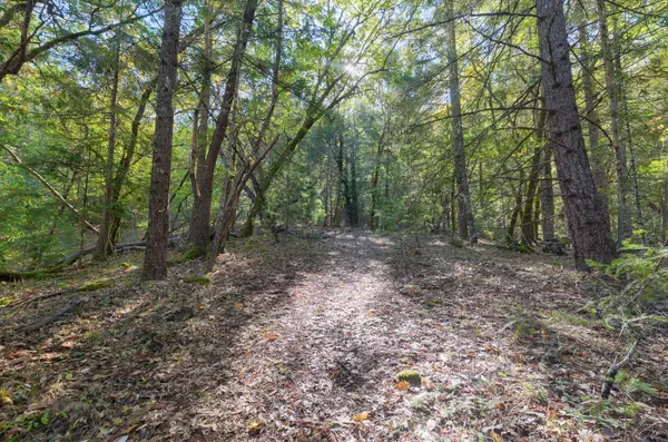 460 Surrey Dr, Grants Pass, OR 97526-8866