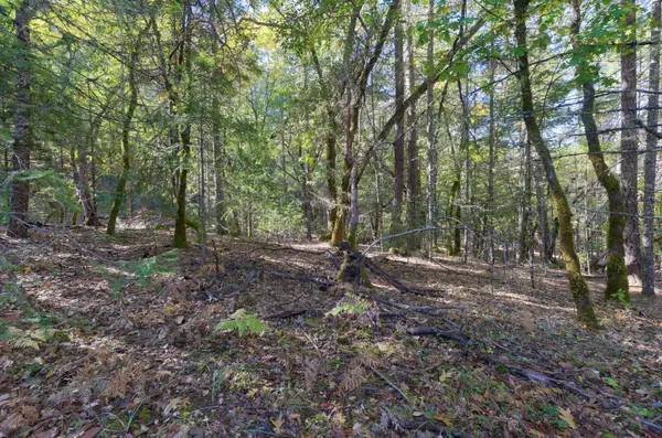 460 Surrey Dr, Grants Pass, OR 97526-8866