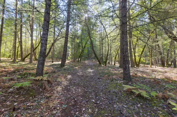 460 Surrey Dr, Grants Pass, OR 97526-8866