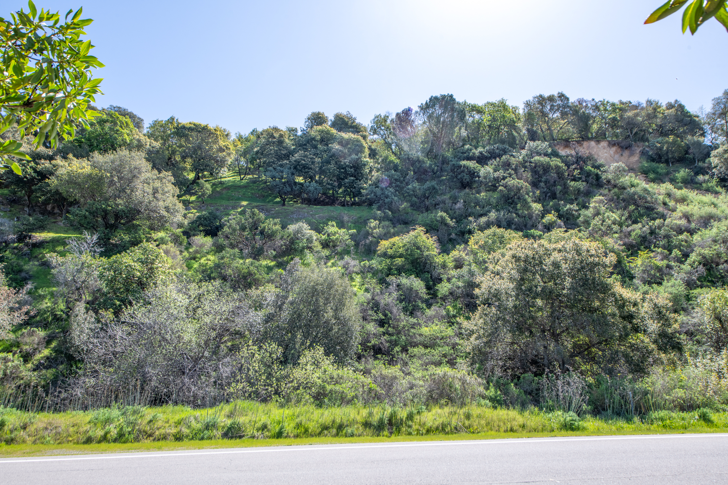 110 Sunny Oaks Drive, San Rafael, CA 94903