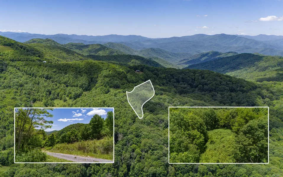 Tract 2 Turkey Trot Road, Clyde, NC 28721