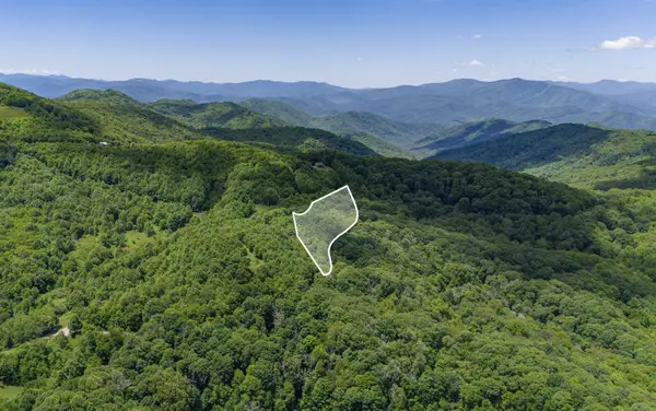 Tract 2 Turkey Trot Road, Clyde, NC 28721