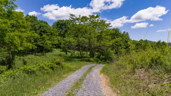 Clyde, NC 28721,Tract 2 Turkey Trot Road