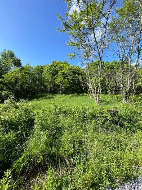 Tract 2 Turkey Trot Road, Clyde, NC 28721