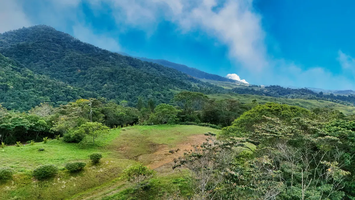 Finca Vista Chirripo, St. Elena, Zeledon