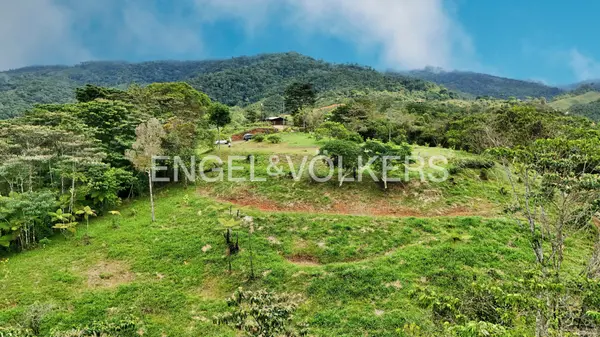 Finca Vista Chirripo, St. Elena, Zeledon