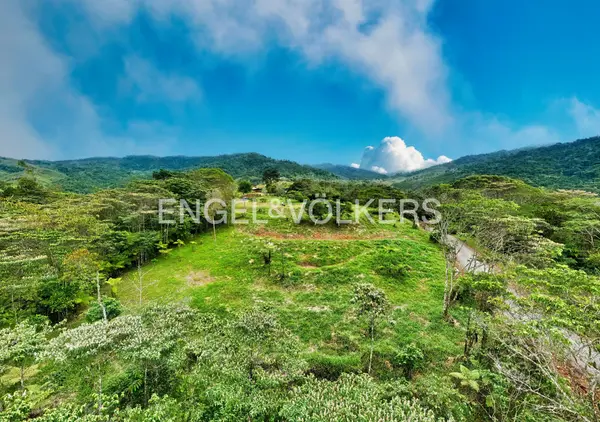 Finca Vista Chirripo, St. Elena, Zeledon
