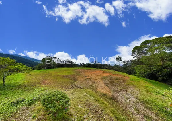 Finca Vista Chirripo, St. Elena, Zeledon