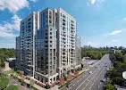 The Dillon Buckhead by Kolter Urban