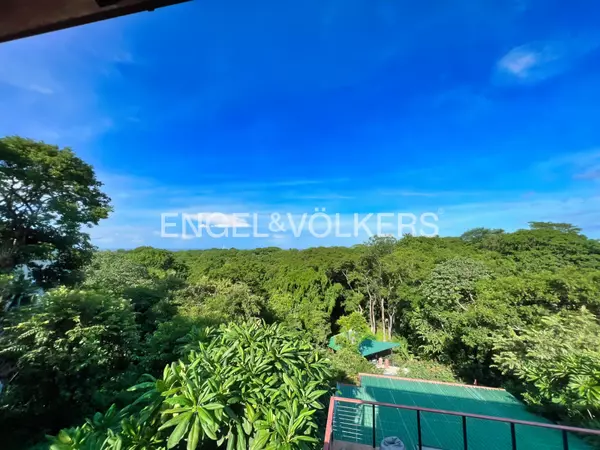 Guanacaste, Rica,Nosara