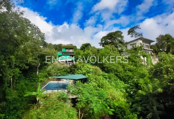 Guanacaste, Rica,Nosara