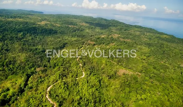 Dream Development Finca Alto de Drake