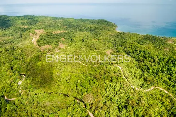 Dream Development Finca Alto de Drake