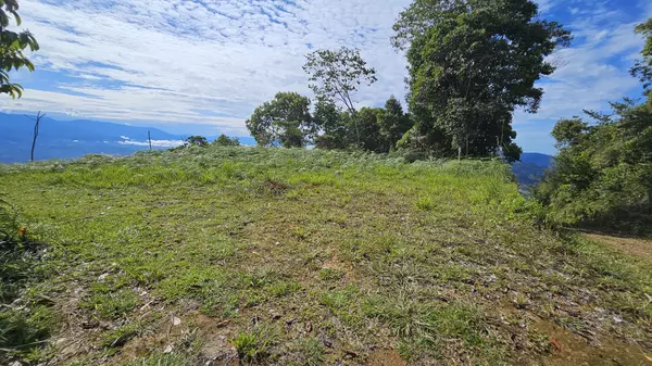 Perez Zeledon, Rica,Finca Buenas Vistas