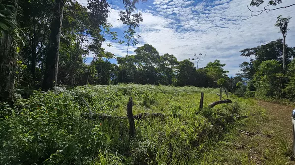 Perez Zeledon, Rica,Finca Buenas Vistas