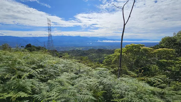 Perez Zeledon, Rica,Finca Buenas Vistas
