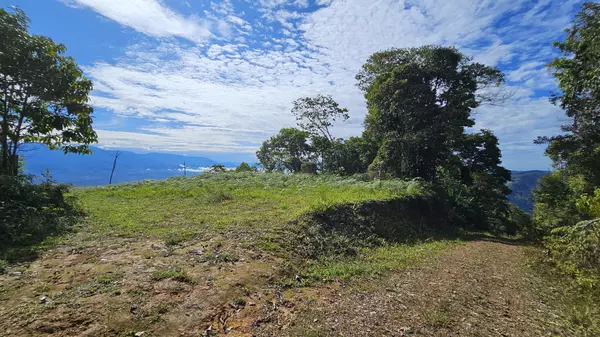 Perez Zeledon, Rica,Finca Buenas Vistas