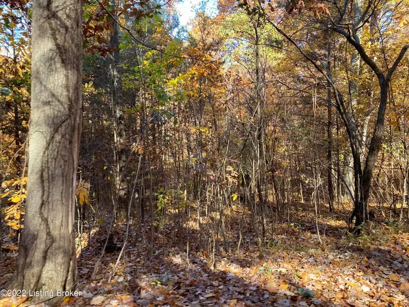 Lot 41 - 4 E Audobon Dr Shepherdsville KY 40165, 