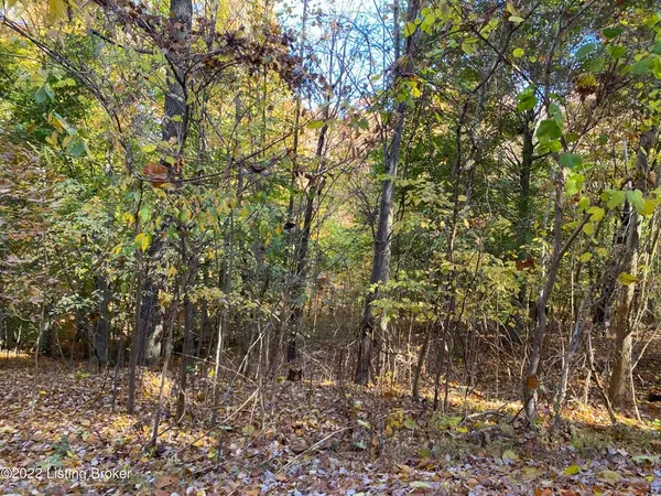Lot 41 - 4 E Audobon Dr Shepherdsville KY 40165