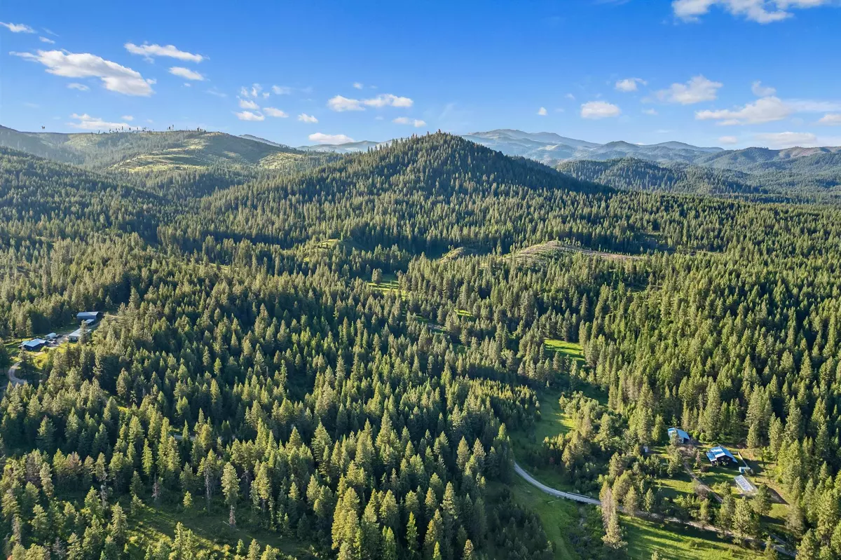 Springdale, WA 99173,NKA Bear Ridge Rd
