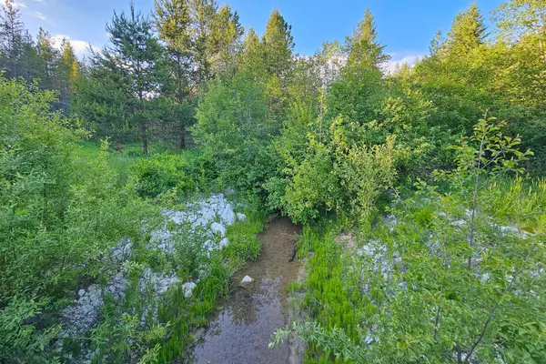 Springdale, WA 99173,NKA Bear Ridge Rd