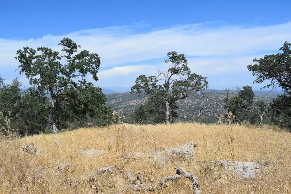 Coarsegold, CA 93614,Lilley Mountain Dr